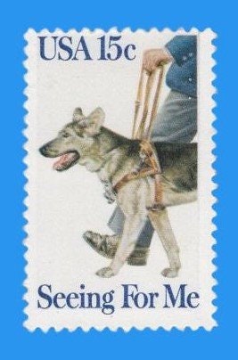 15 Service Dog - Seeing Eye Dog - German Shepherd