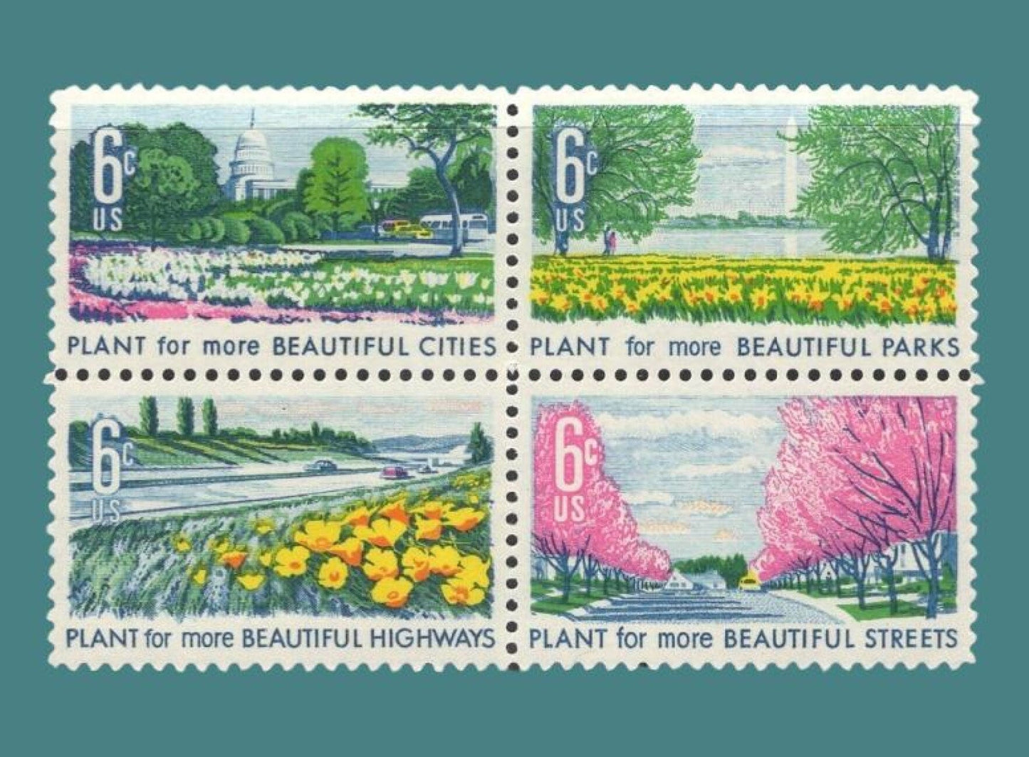 8 BEAUTIFICATION of AMERICA Azaleas Tulips Daffodils Apple Tree (2 Each)