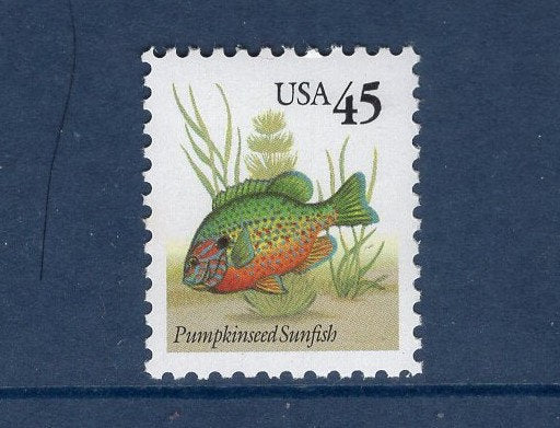 5 PUMPKINSEED SUNFISH Fish