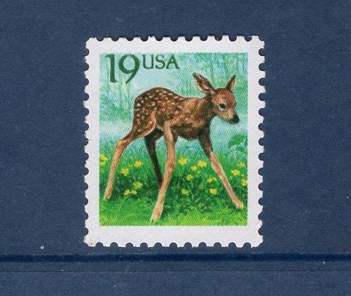 10 FAWN