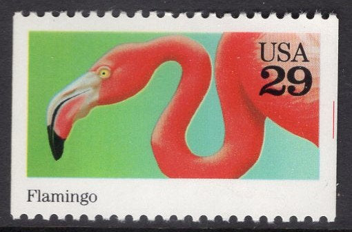 5 FLAMINGO BIRD