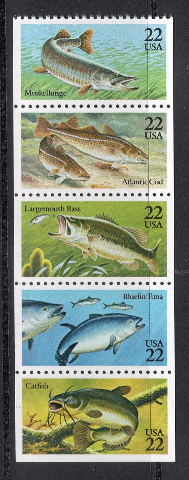 15 GAME FISH (5 different) 3 each