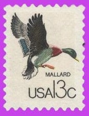 10 Mallard Duck - Birds