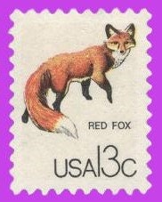 10 RED FOX - ANIMALS