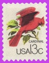 10 RED CARDINAL on a Branch - BIRDs