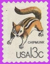 10 CHIPMUNK - ANIMALS