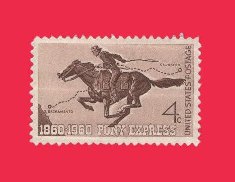 10 Pony Express Horses - Animals