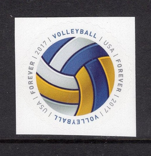 10 VOLLEYBALL Forever Rate Sports Balls Round