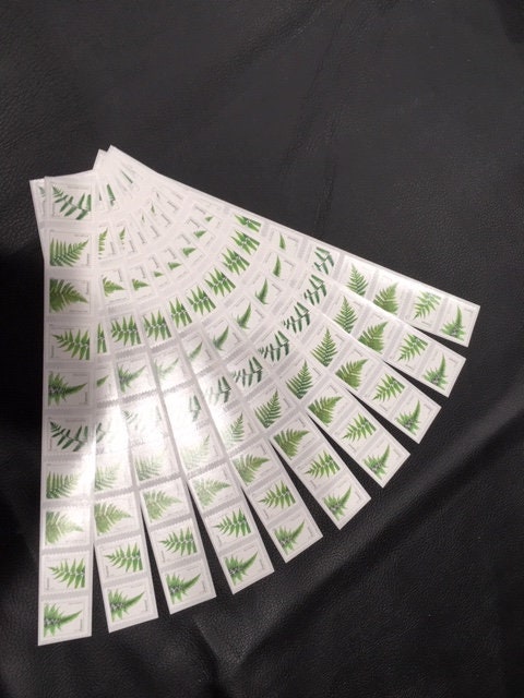 100 FERN FOREVER FERNS Coil in Strips of 5 to 11 Great Wedding Invitations