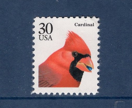 8 CARDINAL BIRDS
