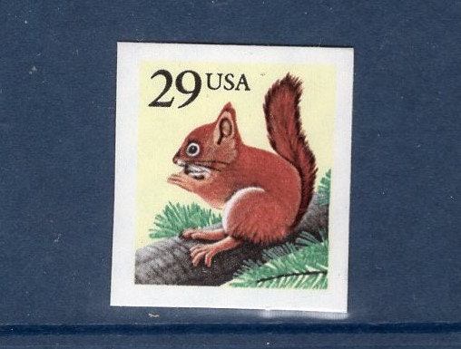 10 RED SQUIRREL