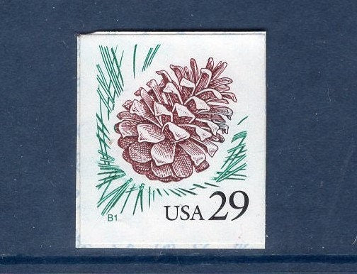 10 PINE CONE