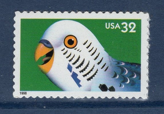 5 EYES PARAKEET