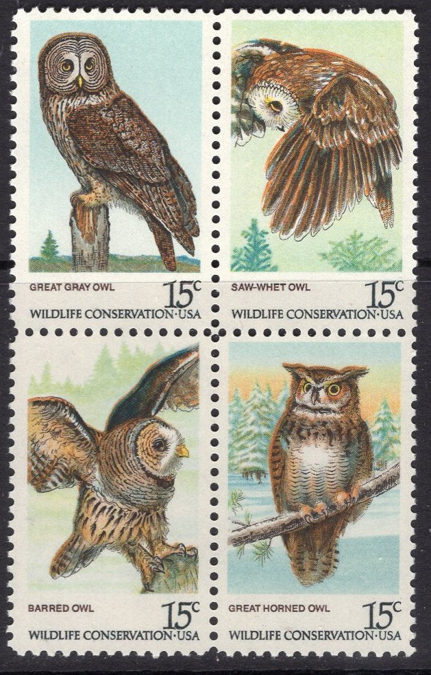 8 OWL OWLS Birds