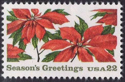 10 CHRISTMAS POINSETTIA