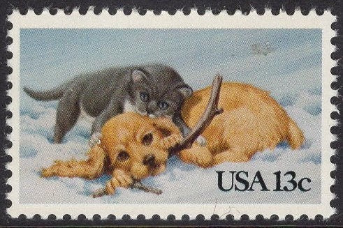 15 PUPPY KITTEN Cat Dog