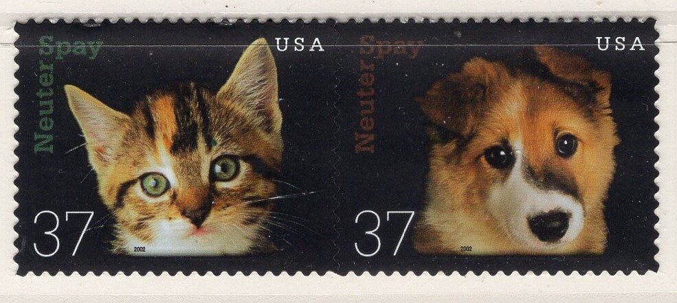 5 DOG CAT Kitten Spay Neuter Pairs