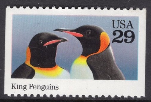 5 KING PENGUINS