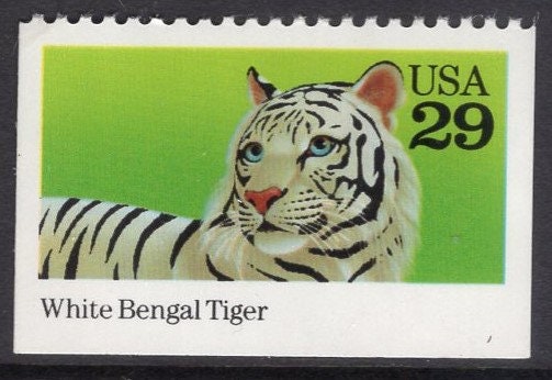 9 WHITE BENGAL TIGER