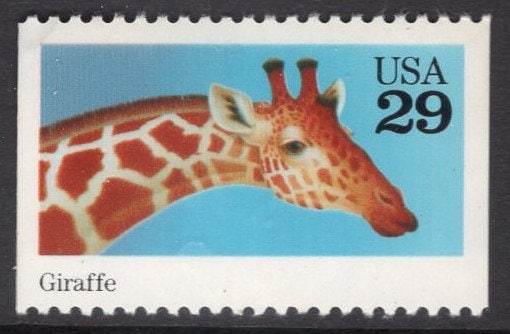 5 GIRAFFE ANIMAL