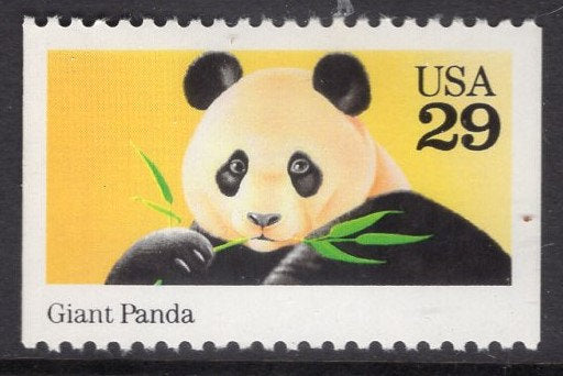 5 GIANT PANDA BEAR