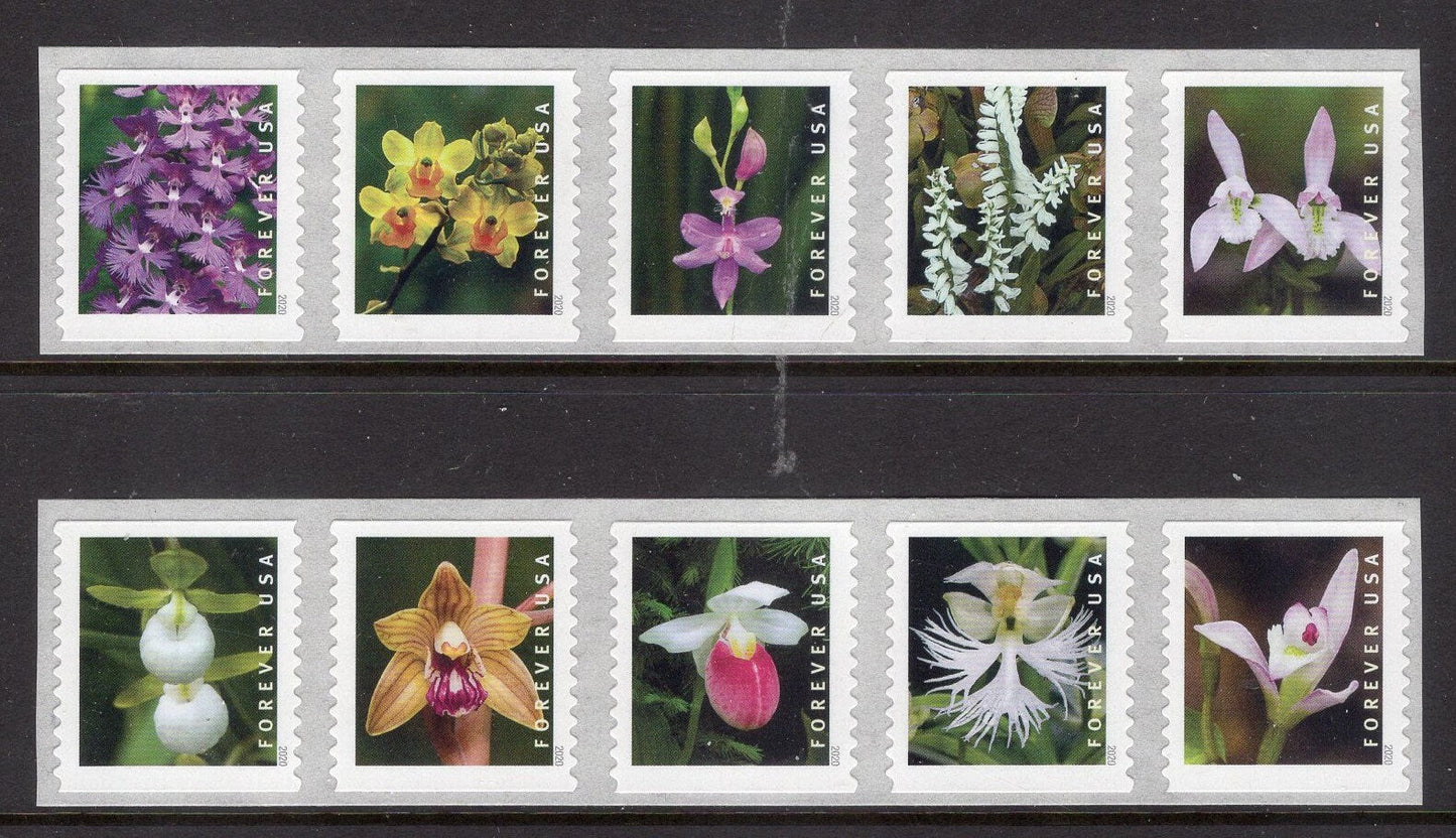 10 DIFFERENT ORCHIDS FOREVER in Two Strips of Five Forever