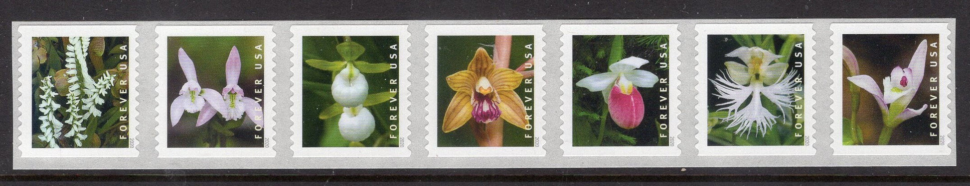 7 Different ORCHIDS in Strip of Seven