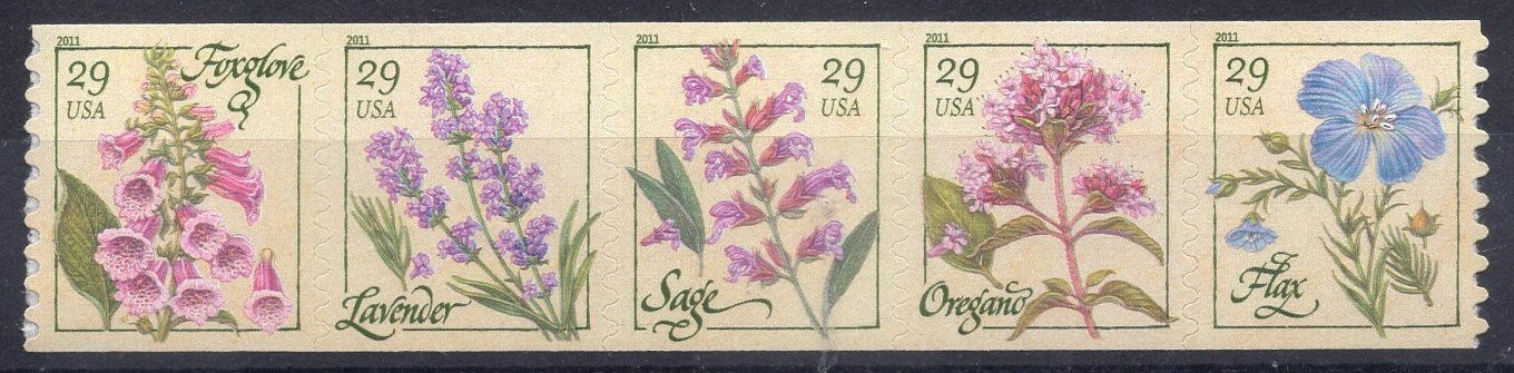5 HERBS OREGANO SAGE Lavender Flax Foxglove