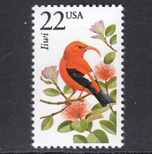 10 IIWI HAWAII SONGBIRD Scarlet Bird