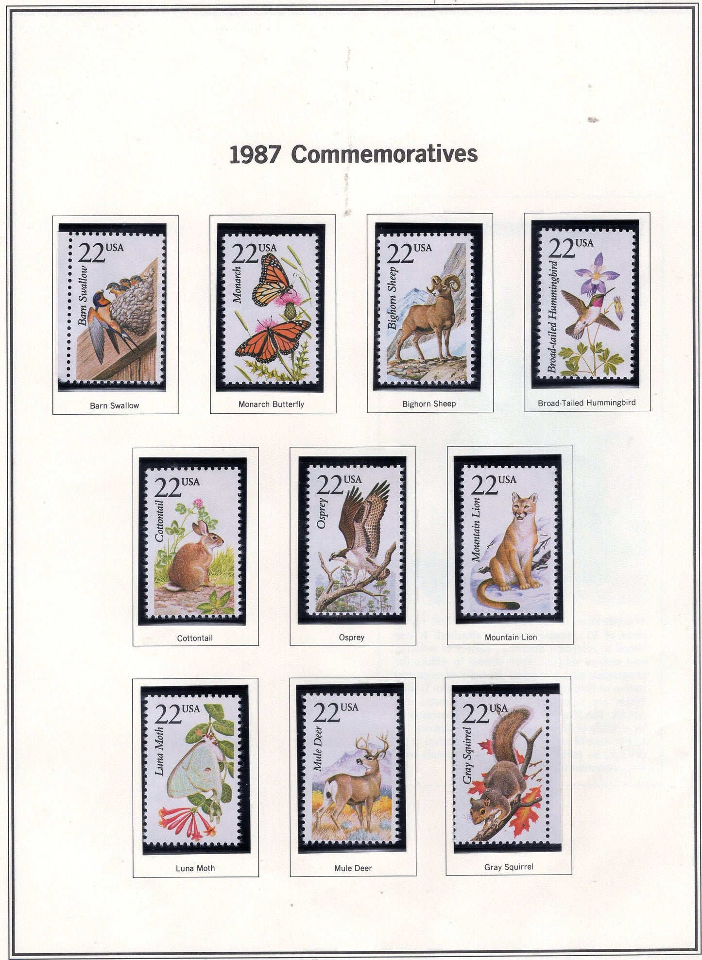 50 WILDLIFE of NORTH AMERICA Different Birds Fish Butterflies USA