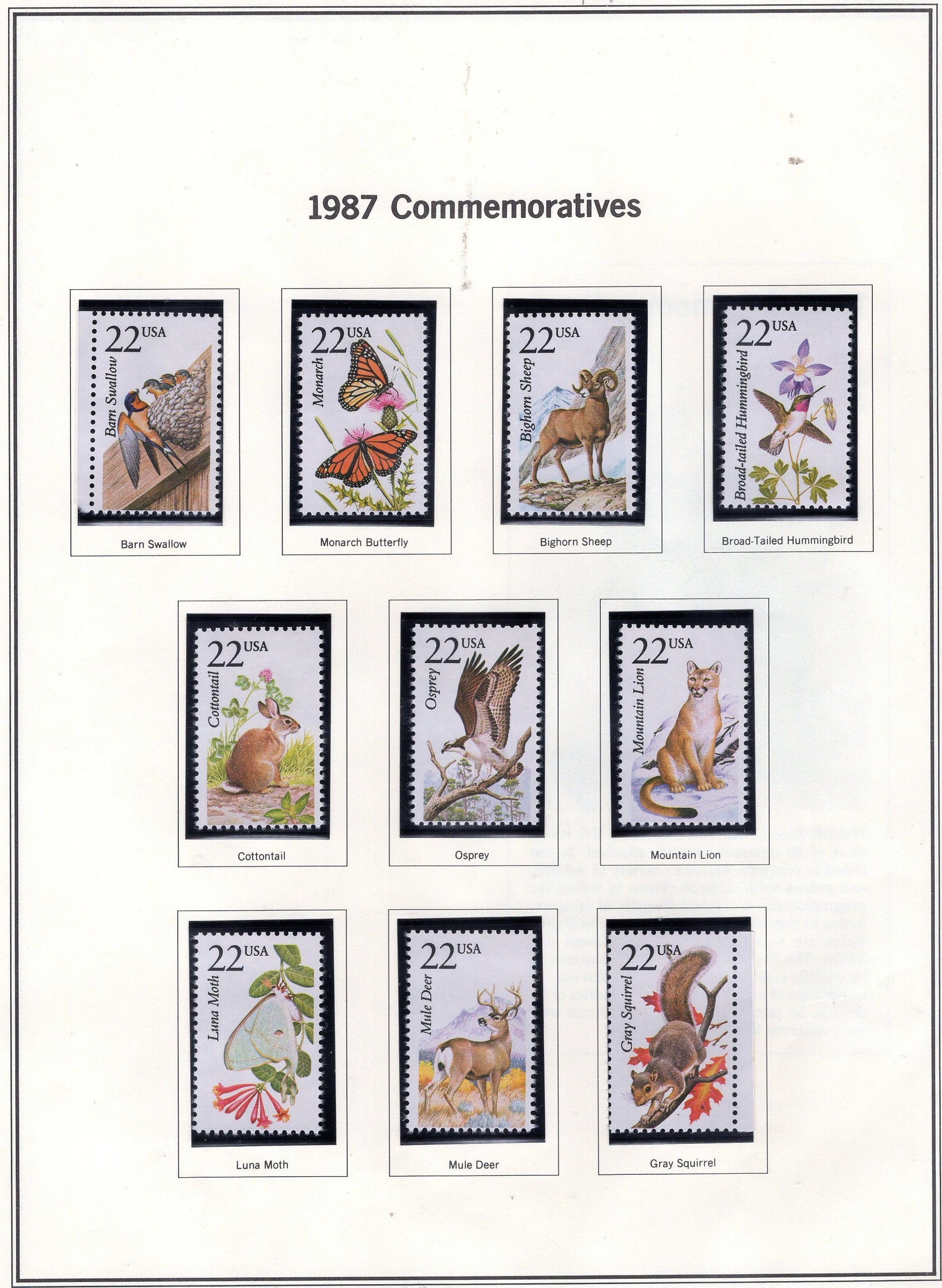 50 WILDLIFE of NORTH AMERICA Different Birds Fish Butterflies USA