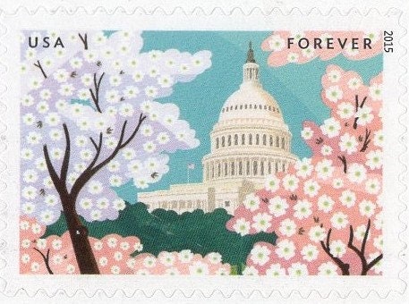 10 DOGWOOD BLOSSOMS Wedding Forever - Capitol Building