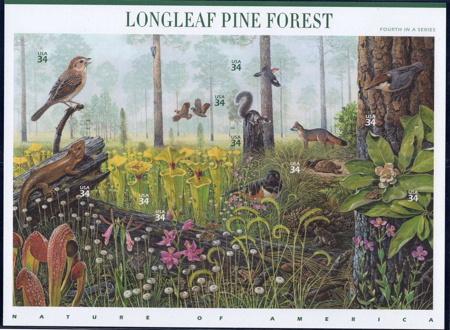 LONGLEAF PINE FOREST Sheet of 10 - Nature of America Series #4 of 12