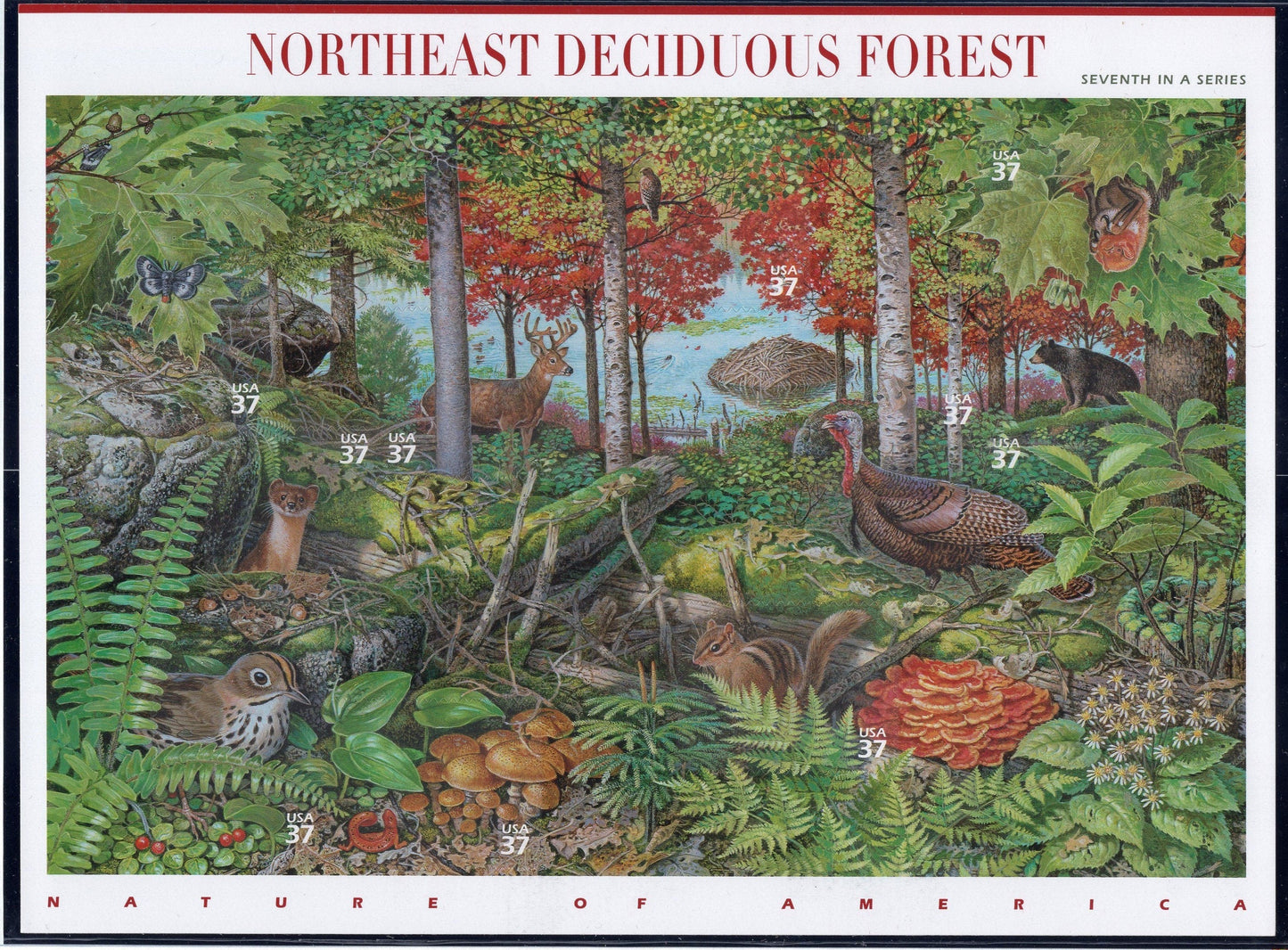 NORTHEAST DECIDUOUS FOREST Sheet of 10 - Nature of American Series #7 of 12