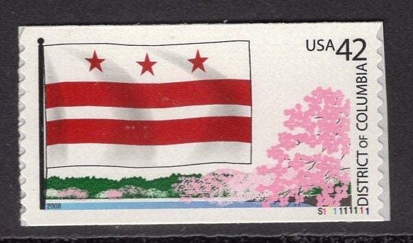2 WASHINGTON DC FLAG + Cherry Blossoms