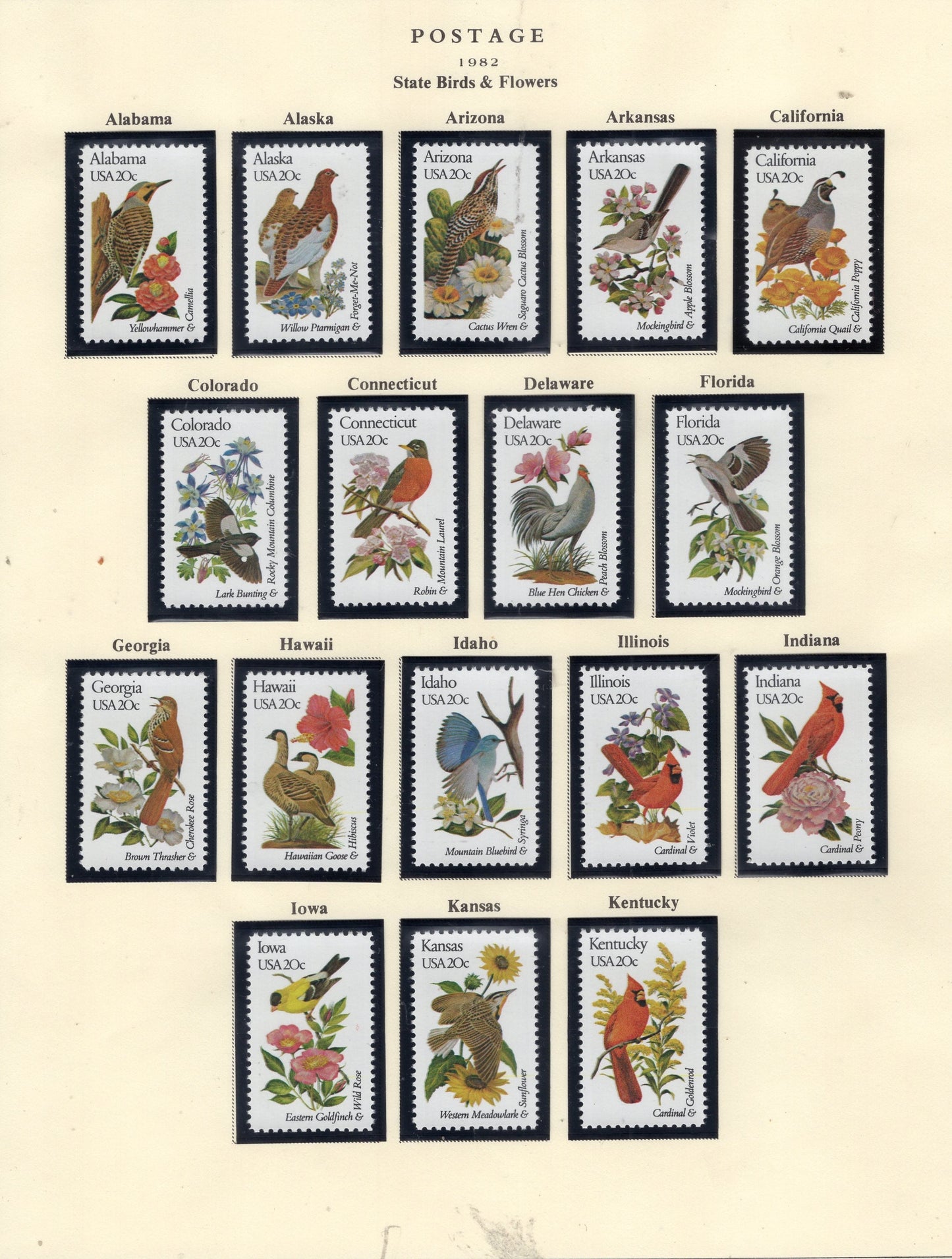 50 STATE BIRDS FLOWERS - All Different - USA