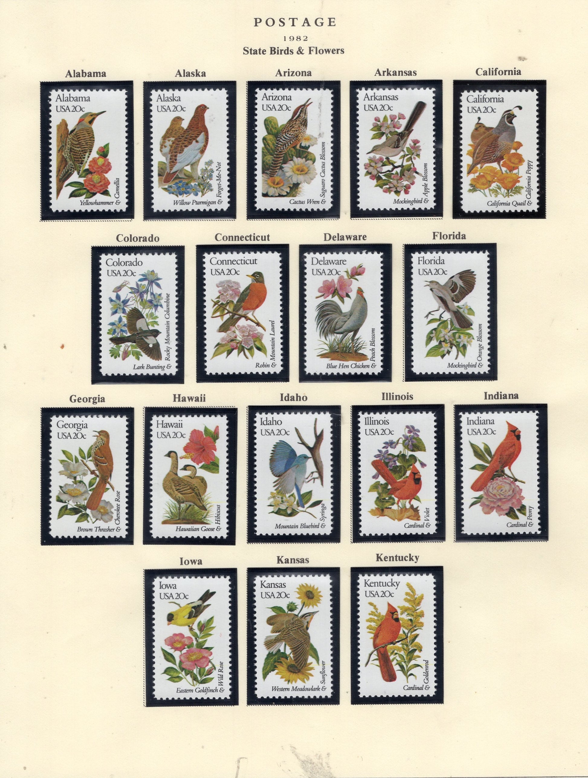 50 STATE BIRDS FLOWERS - All Different - USA