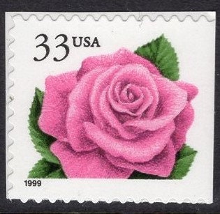 10 PINK CORAL ROSE Flower Wedding Suitable - 33c
