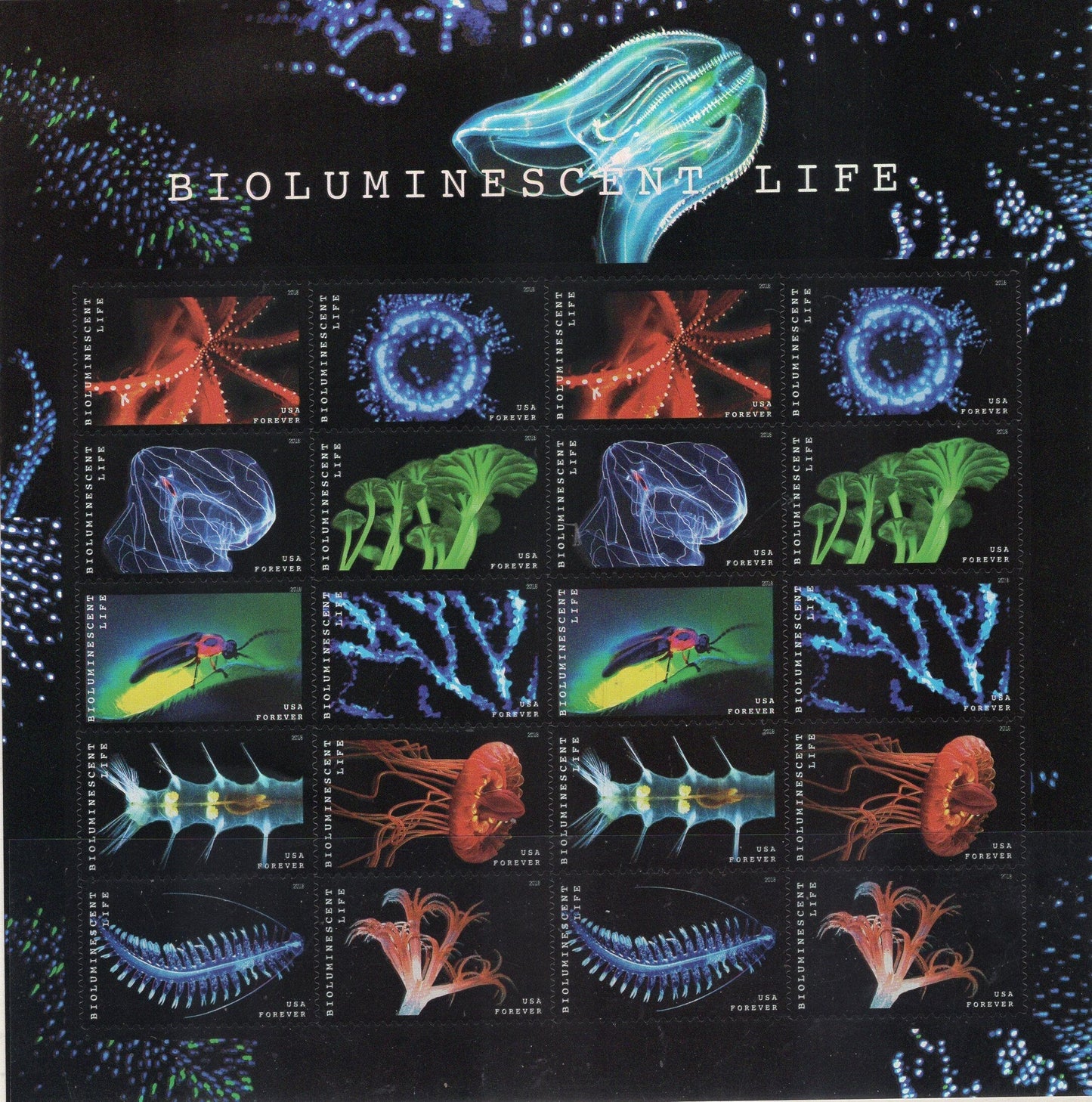 BIOLUMINESCENT BIOLUMINESCENCE Sea LIFE Decorative Sheet of 20 Science Biology Wedding 5264
