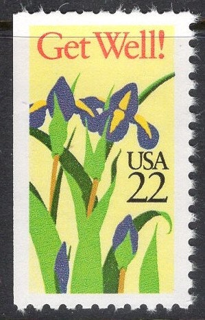 5 GET WELL DAFFODIL Flowers