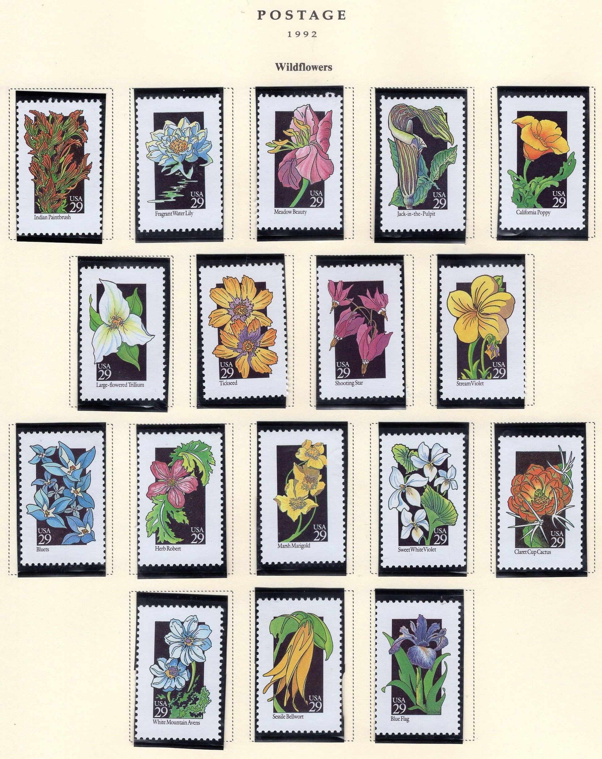 50 WILDFLOWERS WILD FLOWERS - All Different 29c