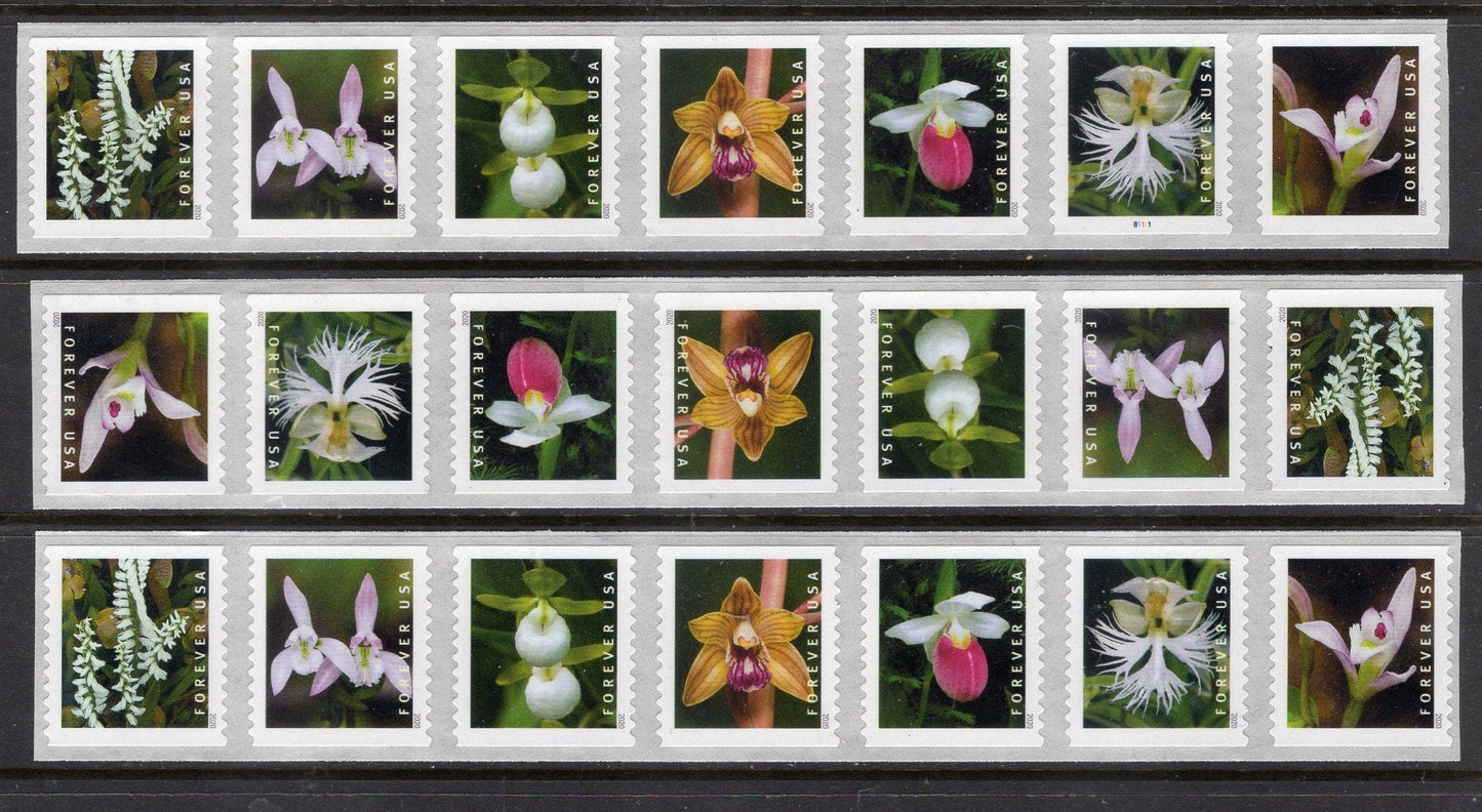 21 ORCHIDS FOREVER in Strips of Seven
