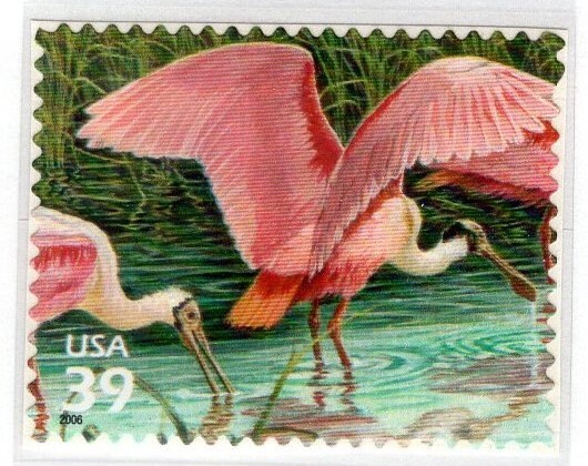 4 ROSEATE SPOONBILL Pink