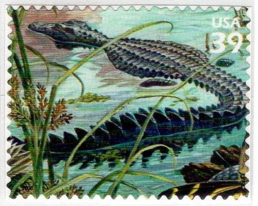 5 AMERICAN ALLIGATOR - Self-Adhesive - 39c