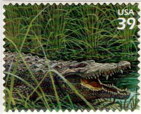 5 AMERICAN CROCODILE - Self-Adhesive - 39c