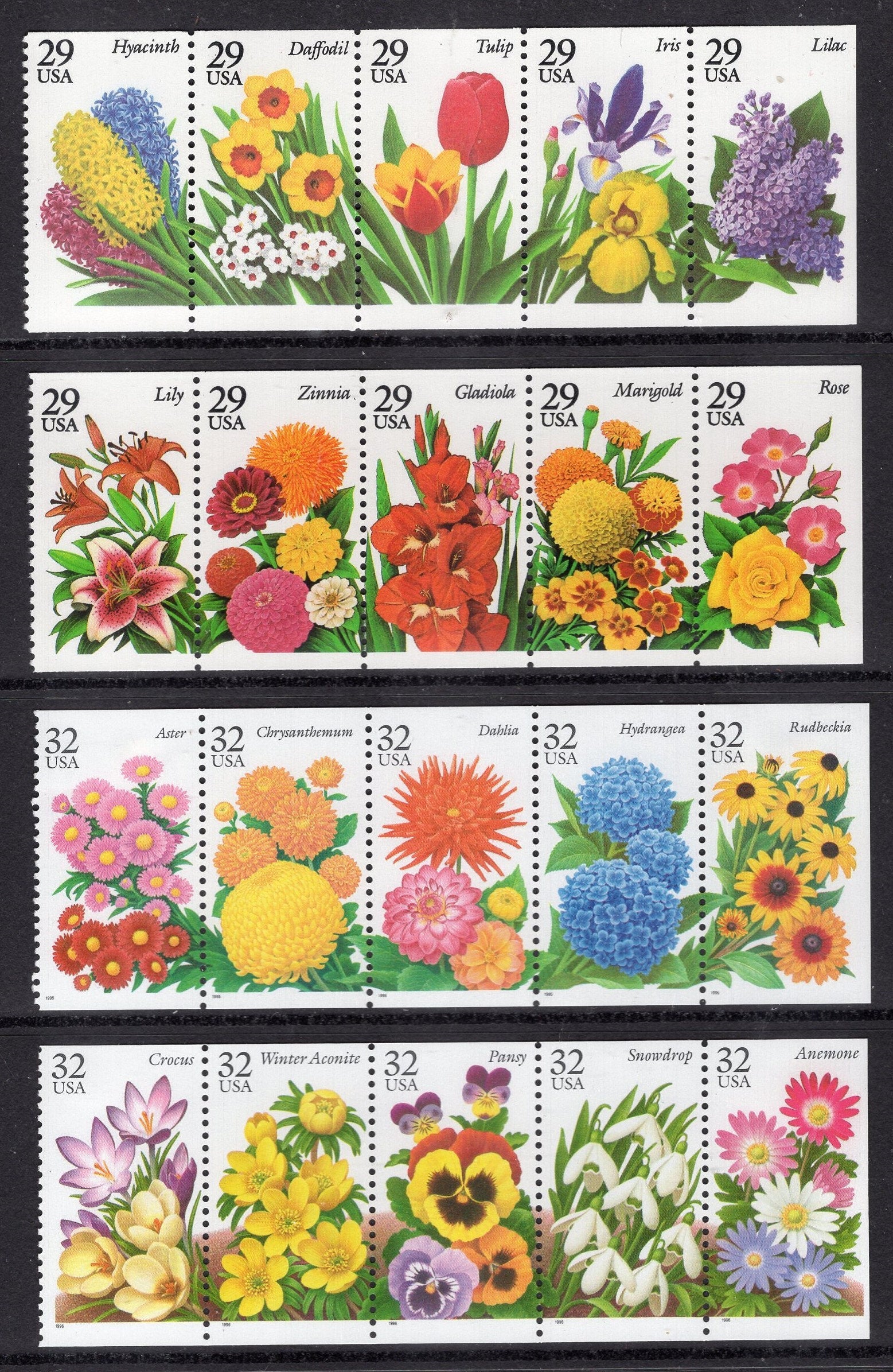 GARDEN FLOWERS 20 Different 29c or 32c Exquisite Hyacinth Tulip Lily Mum Crocus + 15 More USA