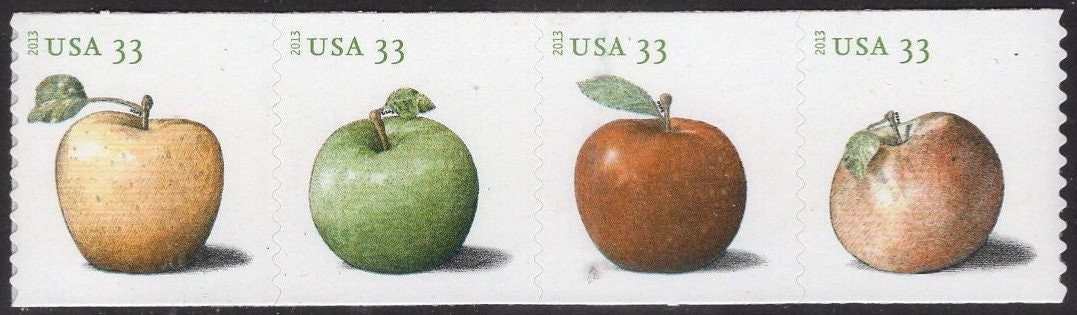 8 APPLES 2 each: GRANNY SMITH + Golden Delicious + Baldwin + Northern Spy