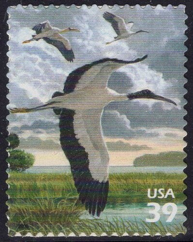5 WOOD STORK Bird - USA Self-Adhesive - Mycteria americana