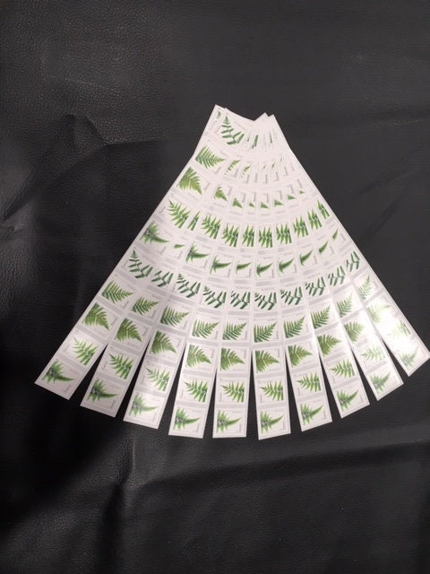 100 FERN FERNS Forever Strips of 10