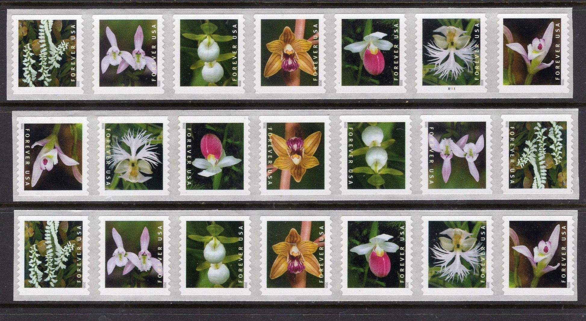 21 ORCHIDS WEDDINGS INVITATIONS in Strips of 7